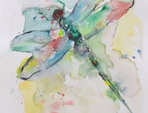 The Dragonfly as a Spirit Animal: Transformation, Adaptation and Joyfulness